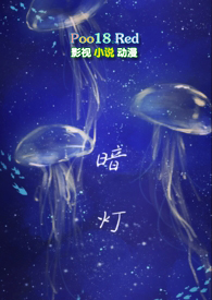暗灯小说